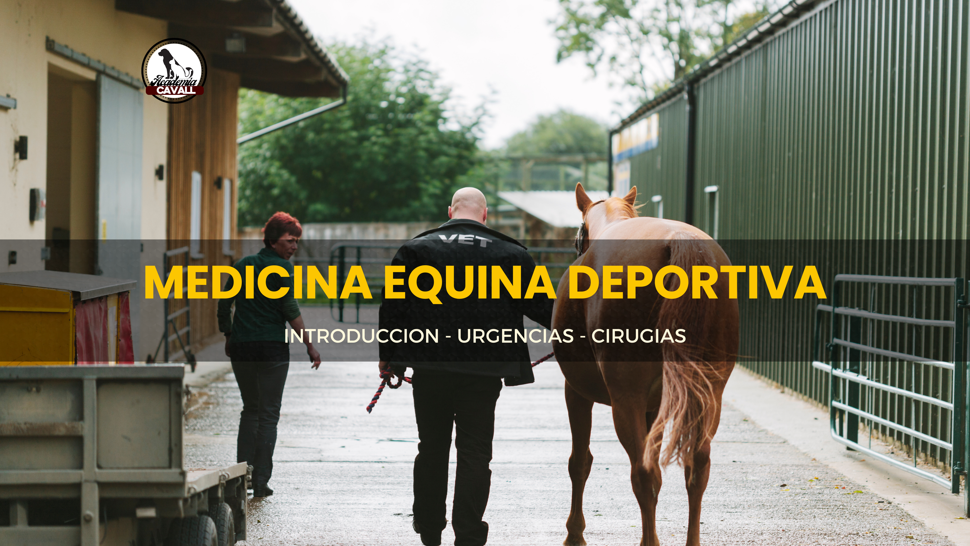 MEDICINA EQUINA DEPORTIVA