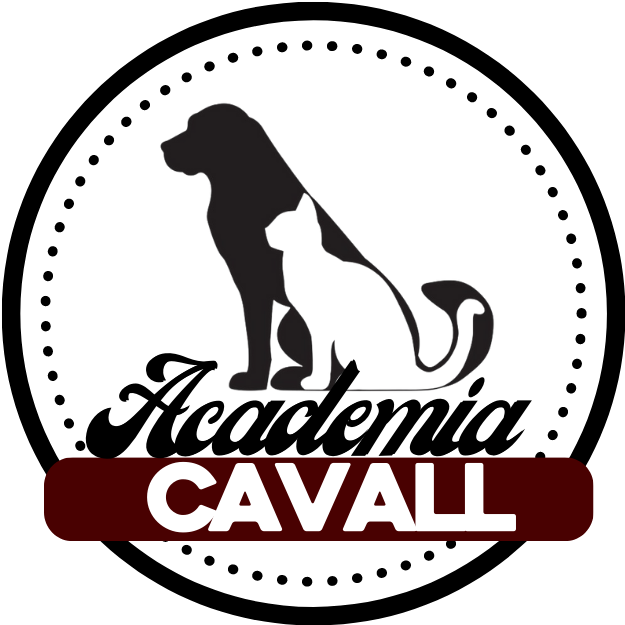 Cavall