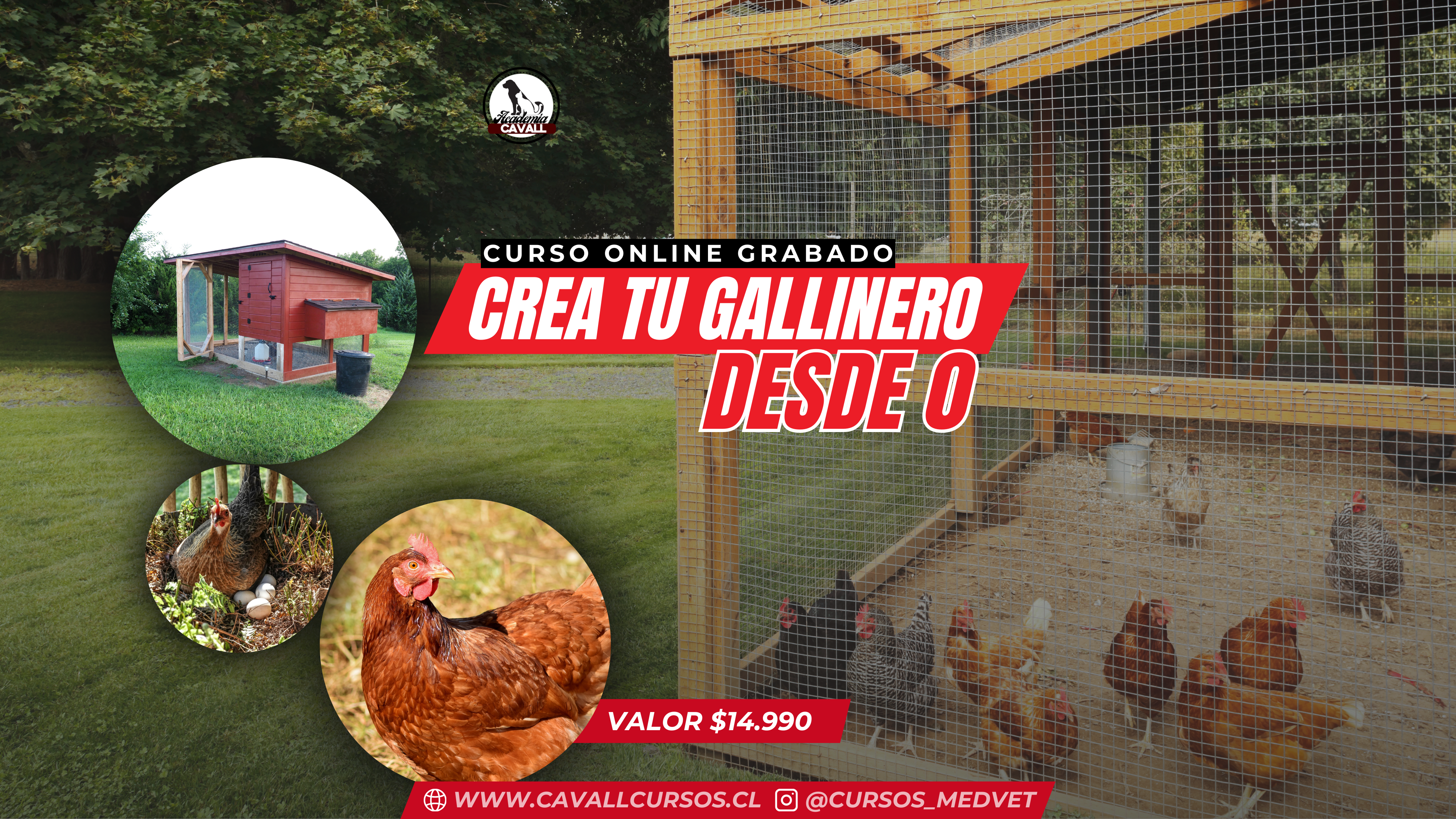 Crea tu Gallinero desde 0